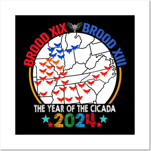 Cicada Brood USA Map Tsunami Bugs Brood XIX Brood XIII 13 Year Of The Cicada 2024 Posters and Art